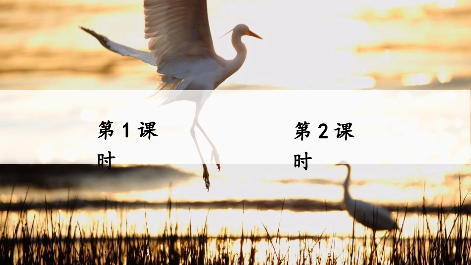 《白鹭》PPT优秀课件[部编版五年级语文上册]_第2页