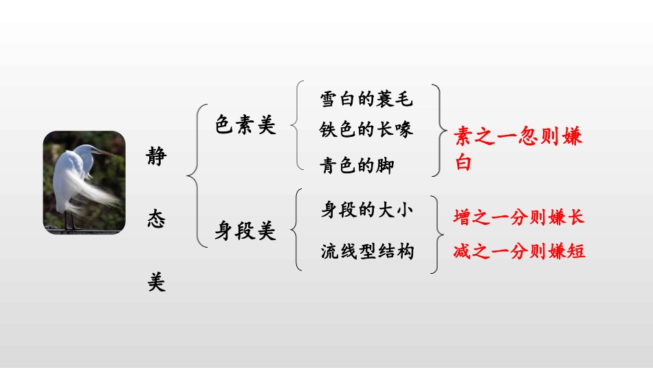 《白鹭》PPT课件(第2课时)[部编版五年级语文上册]_第3页