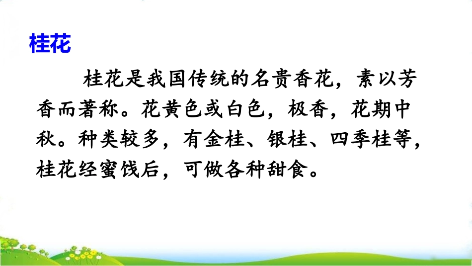 《桂花雨》PPT课文课件[部编版五年级语文上册]_第3页
