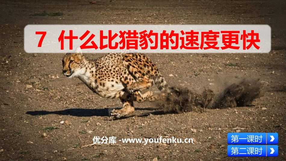 《什么比猎豹的速度更快》PPT课文课件[部编版五年级语文]_第1页