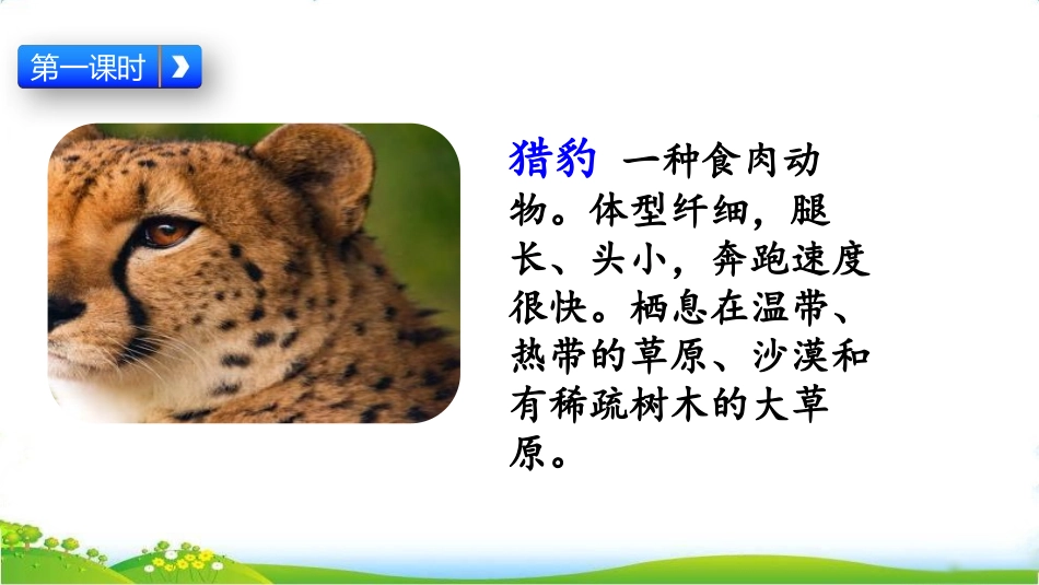 《什么比猎豹的速度更快》PPT课文课件[部编版五年级语文]_第3页