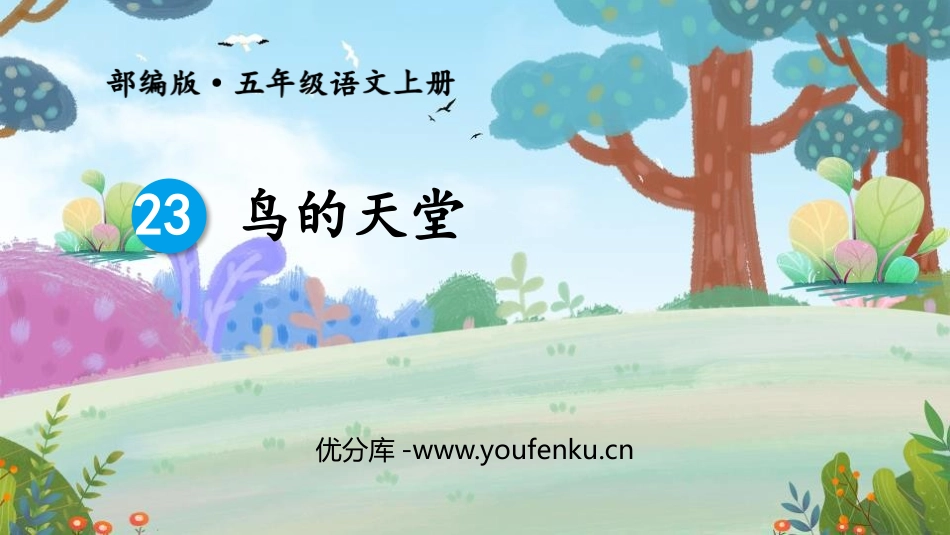 《鸟的天堂》PPT课文课件[部编版五年级语文上册]_第1页
