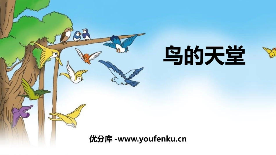 《鸟的天堂》PPT课件[部编版五年级语文上册]_第1页