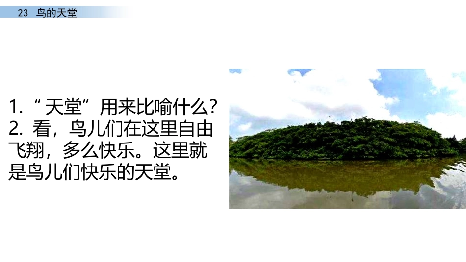 《鸟的天堂》PPT课件[部编版五年级语文上册]_第2页