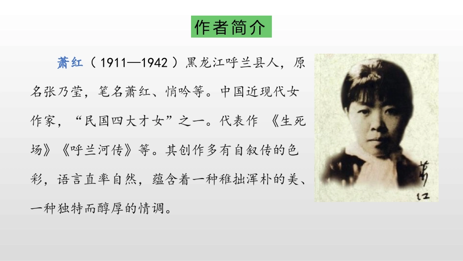 《祖父的园子》PPT优秀课件[部编版五年级语文下册]_第2页