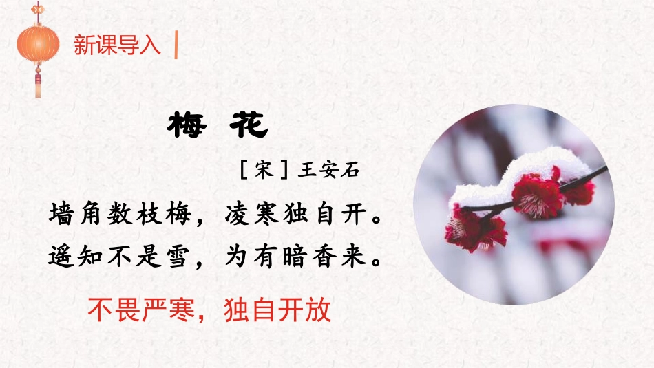 《梅花魂》PPT优质课件[部编版五年级语文下册]_第2页