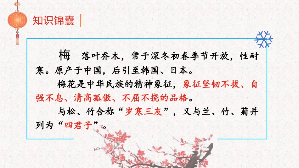 《梅花魂》PPT优质课件[部编版五年级语文下册]_第3页