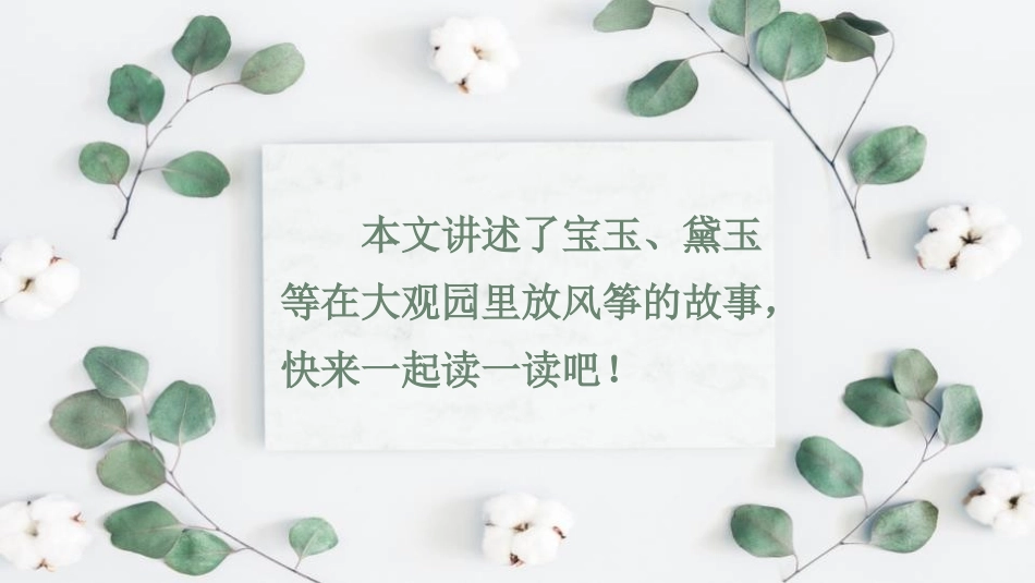 《红楼春趣》PPT课文课件[部编版五年级语文下册]_第3页