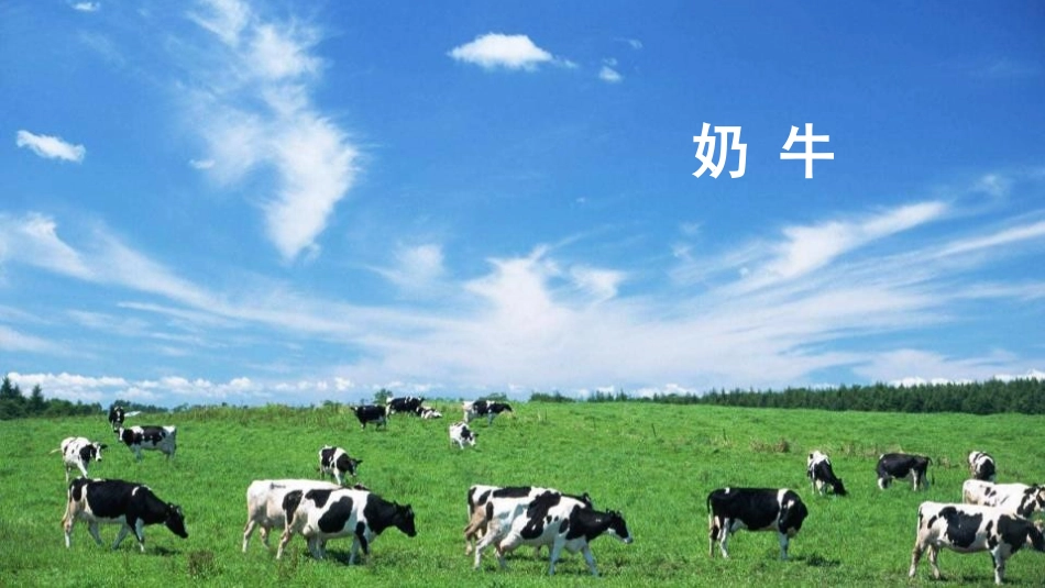 《牧场之国》PPT优秀课件[部编版五年级语文下册]_第2页