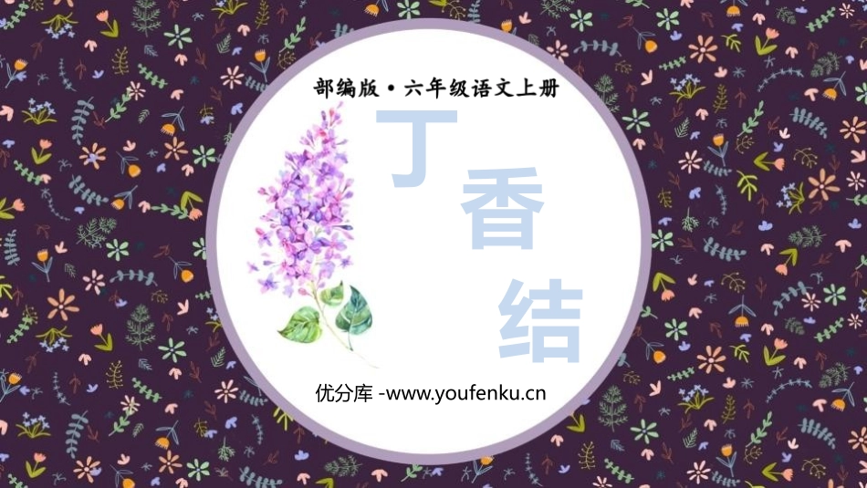 《丁香结》PPT优秀课件[部编版六年级语文上册]_第1页