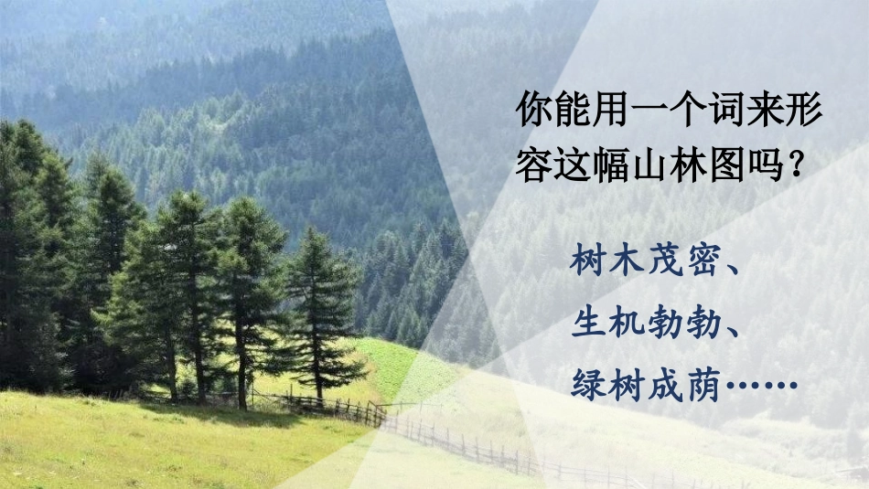 《青山不老》PPT优质课件[部编版六年级语文上册]_第2页