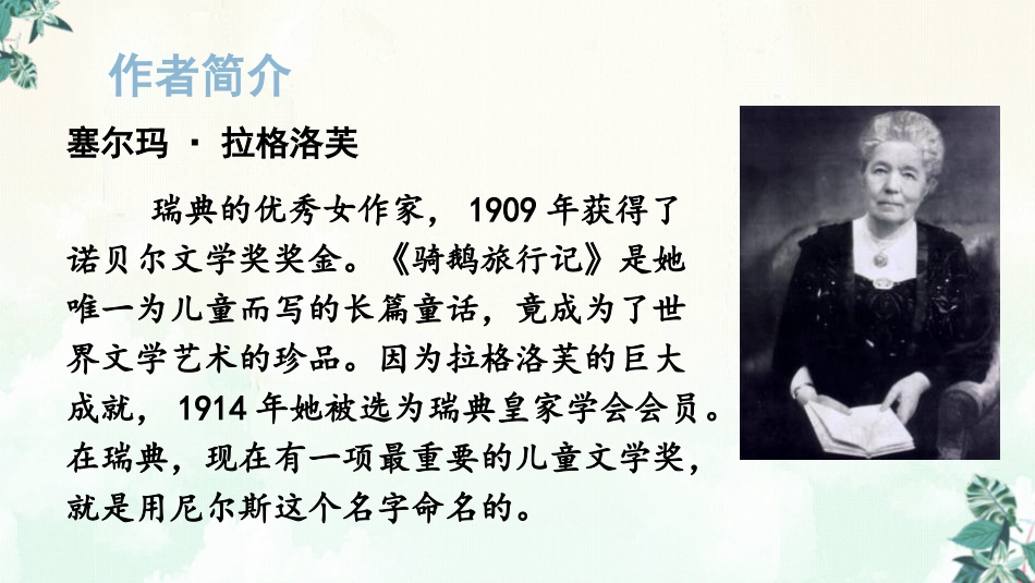 《骑鹅旅行记》PPT优质课件[部编版六年级语文下册]_第3页