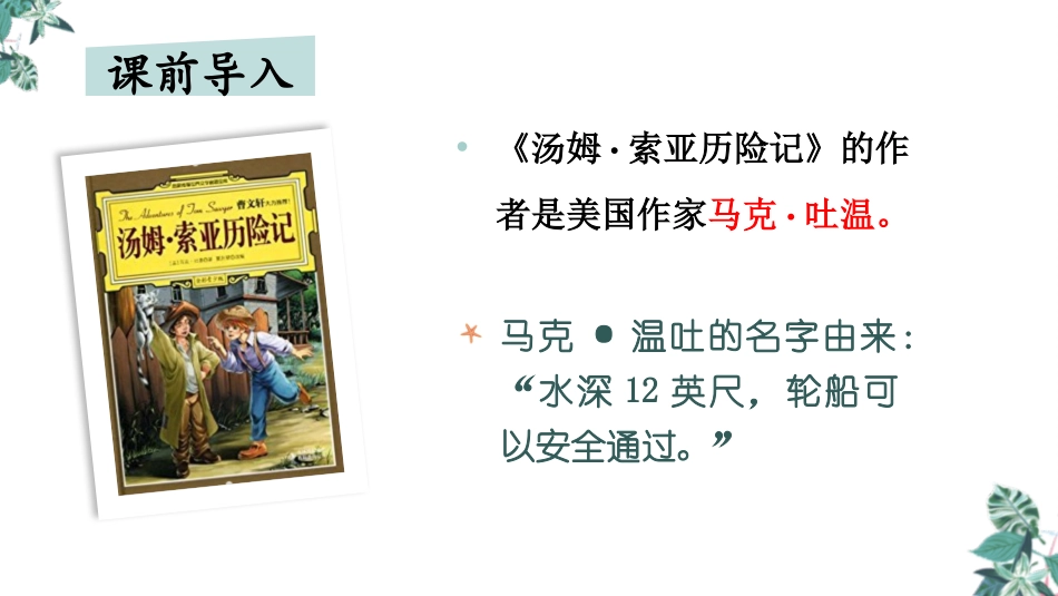 《汤姆·索亚历险记》PPT优秀课件[部编版六年级语文下册]_第2页