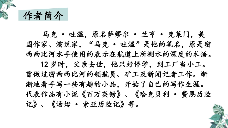 《汤姆·索亚历险记》PPT优秀课件[部编版六年级语文下册]_第3页