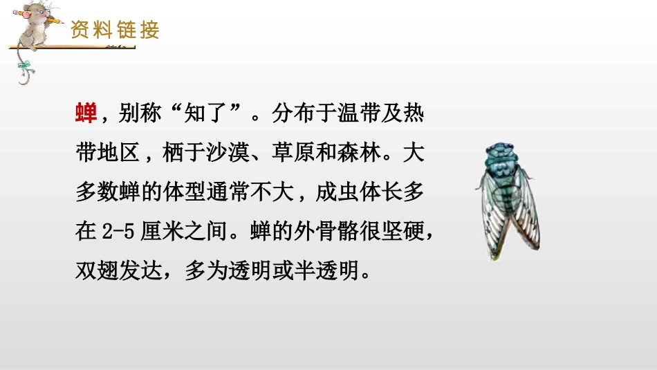 《表里的生物》PPT优秀课件[部编版六年级语文下册]_第3页