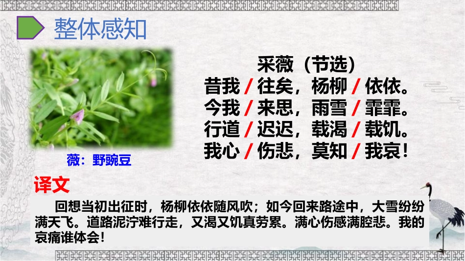 《采薇》PPT课件[部编版六年级语文下册]_第2页