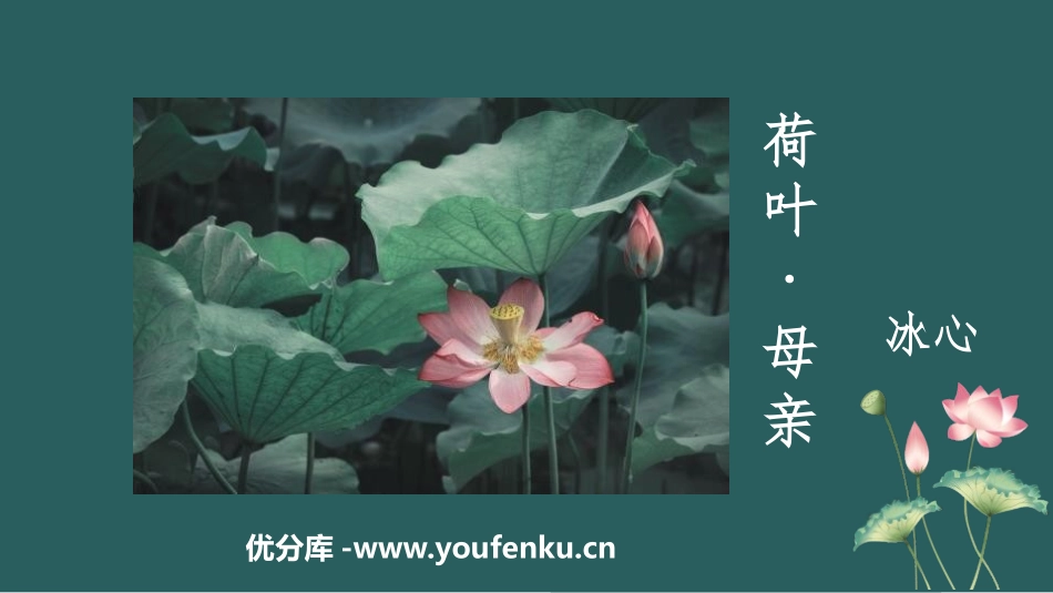 《荷叶·母亲》PPT优秀课件[部编版七年级语文上册]_第1页