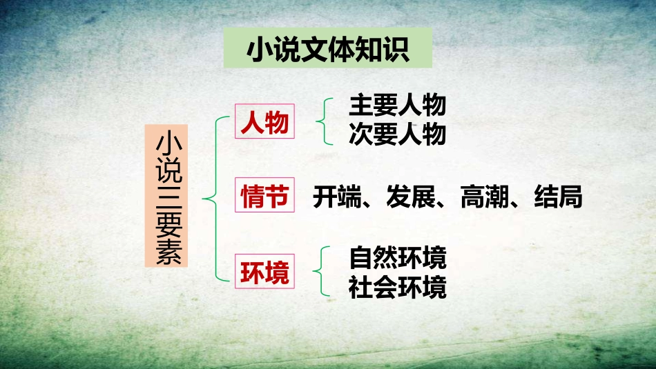 《植树的牧羊人》PPT课文课件[部编版七年级语文上册]_第3页