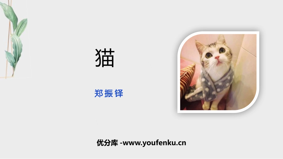 《猫》PPT教学课件[部编版七年级语文上册]_第1页