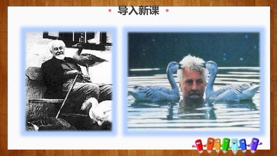 《动物笑谈》PPT精品课件[部编版七年级语文上册]_第3页