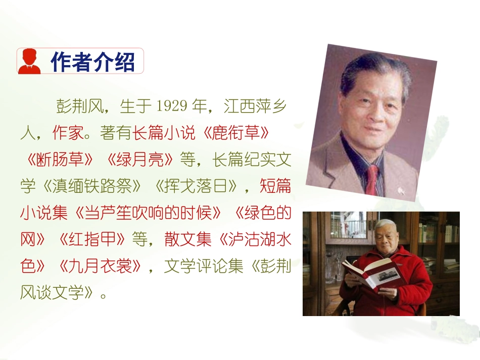 《驿路梨花》PPT优秀课件[部编版七年级语文下册]_第3页