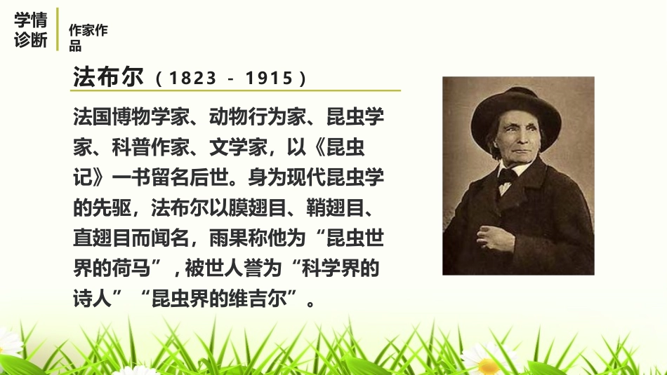 《蝉》PPT优秀课件[部编版八年级语文上册]_第3页