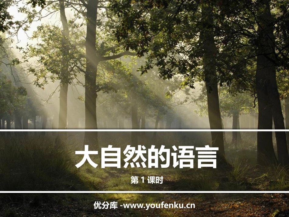 《大自然的语言》PPT教学课件(第1课时)[部编版八年级语文]_第1页