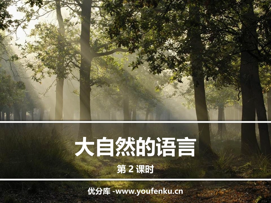 《大自然的语言》PPT教学课件(第2课时)[部编版八年级语文]_第1页