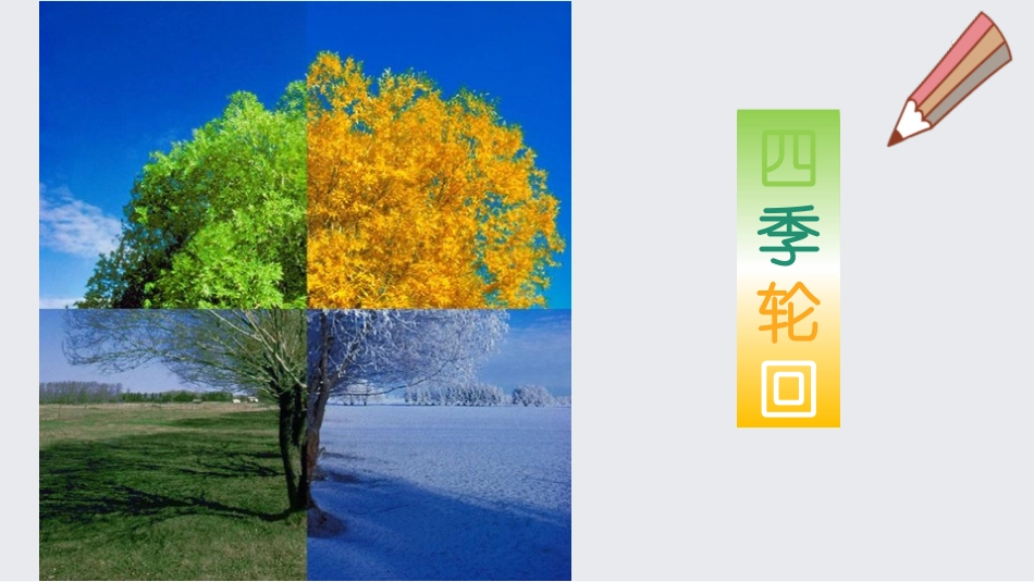 《时间的脚印》PPT优秀课件[部编版八年级语文下册]_第2页