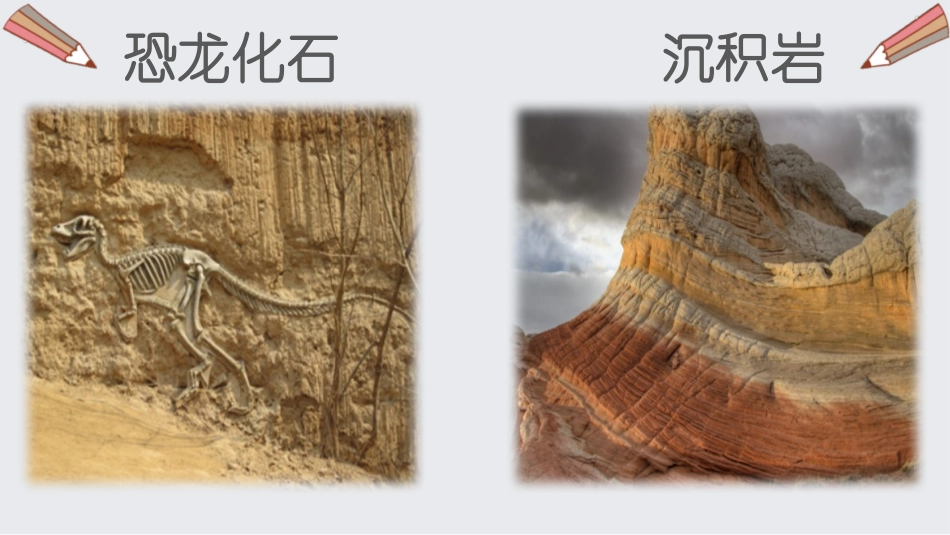 《时间的脚印》PPT优秀课件[部编版八年级语文下册]_第3页