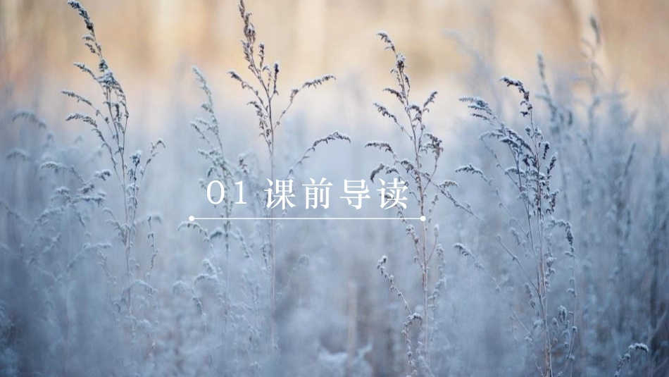 《沁园春·雪》PPT免费精品课件[部编版九年级语文上册]_第3页