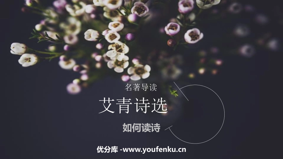 《艾青诗选》如何读诗PPT课件[部编版九年级语文上册]_第1页
