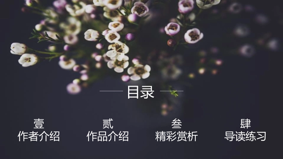 《艾青诗选》如何读诗PPT课件[部编版九年级语文上册]_第2页