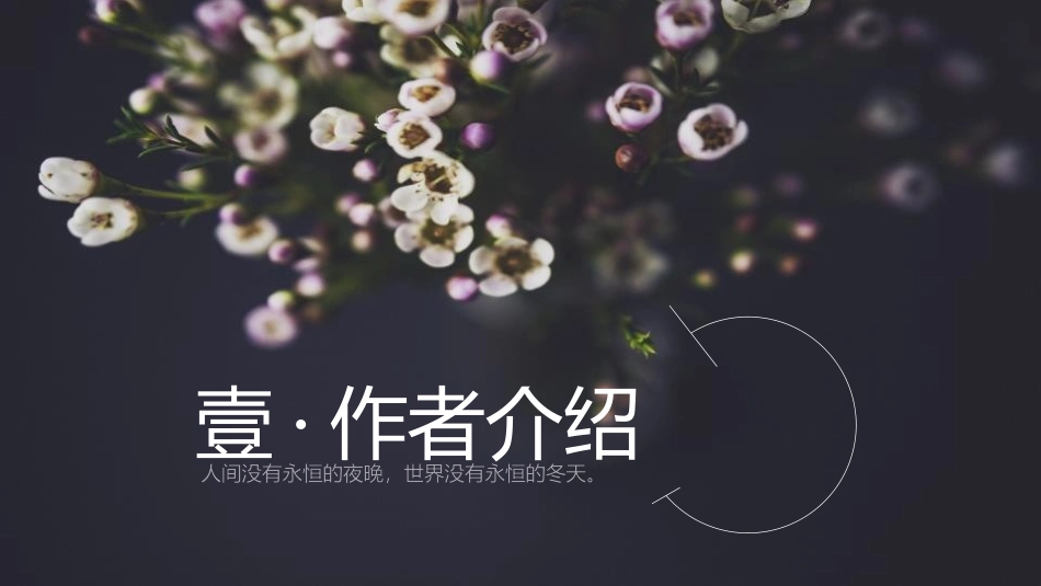 《艾青诗选》如何读诗PPT课件[部编版九年级语文上册]_第3页