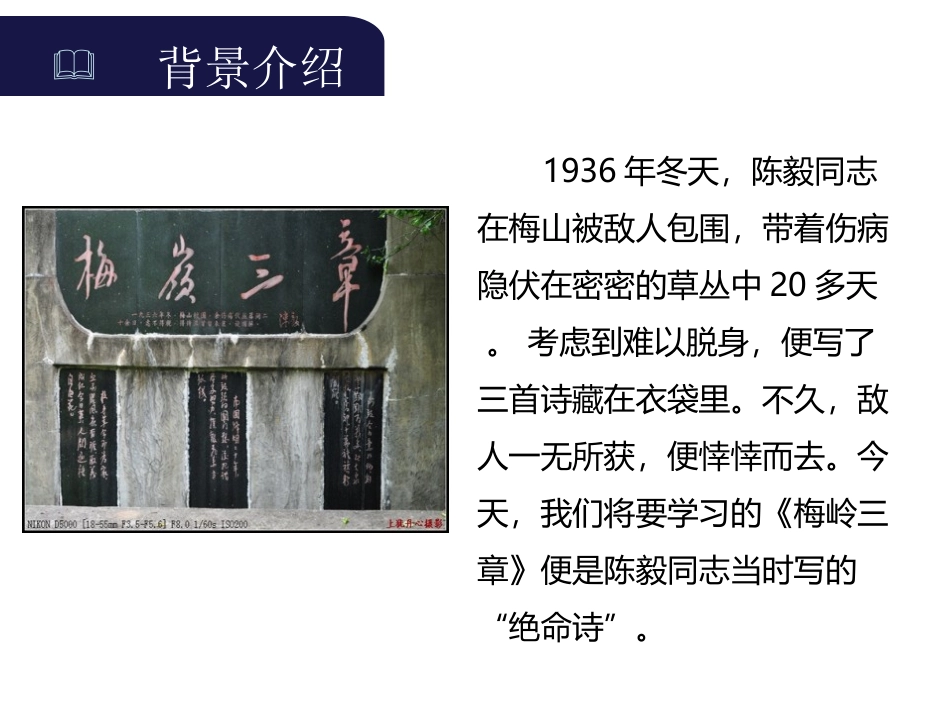 《梅岭三章》PPT优秀课件[部编版九年级语文下册]_第2页