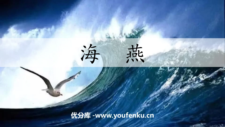 《海燕》PPT精品课件[部编版九年级语文下册]_第1页