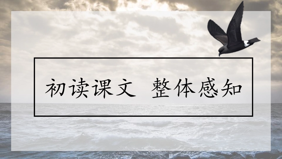 《海燕》PPT优秀课件[部编版九年级语文下册]_第3页