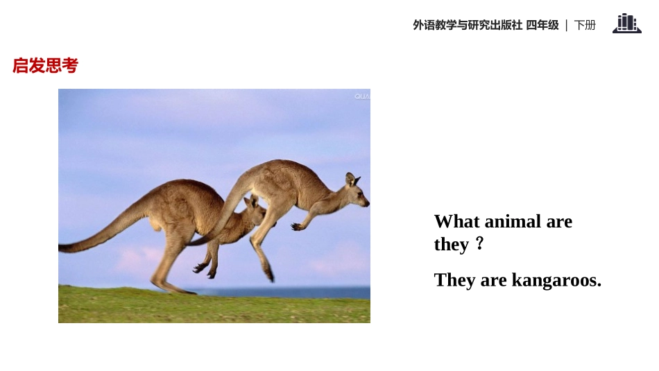 《Kangaroos live in Australia》PPT教学课件_第2页