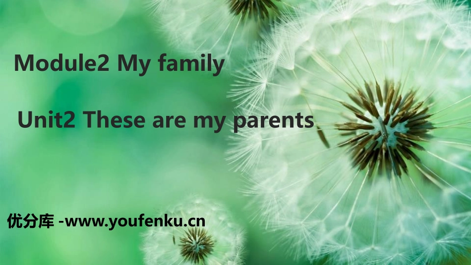 《These are my parents》PPT课件_第1页