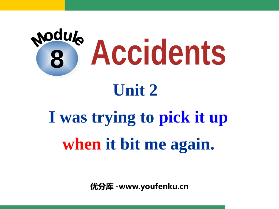 《I was trying to pick it up when it bite me again》Accidents PPT教学课件_第1页