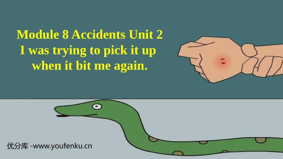 《I was trying to pick it up when it bite me again》Accidents PPT精品课件_第1页