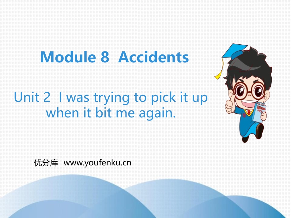 《I was trying to pick it up when it bite me again》Accidents PPT优秀课件_第1页