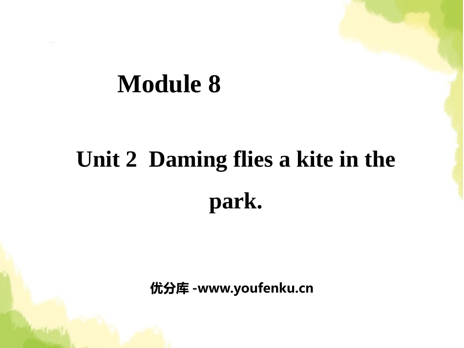《Daming flies a kite in the park》PPT课件_第1页