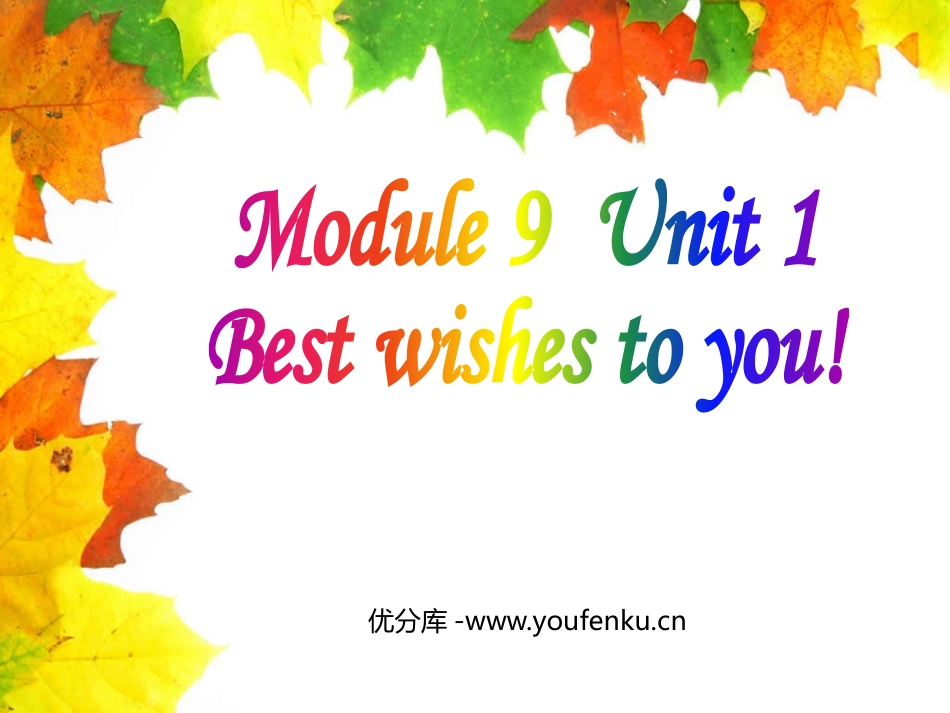 《Best Wishes to you》PPT精品课件_第1页
