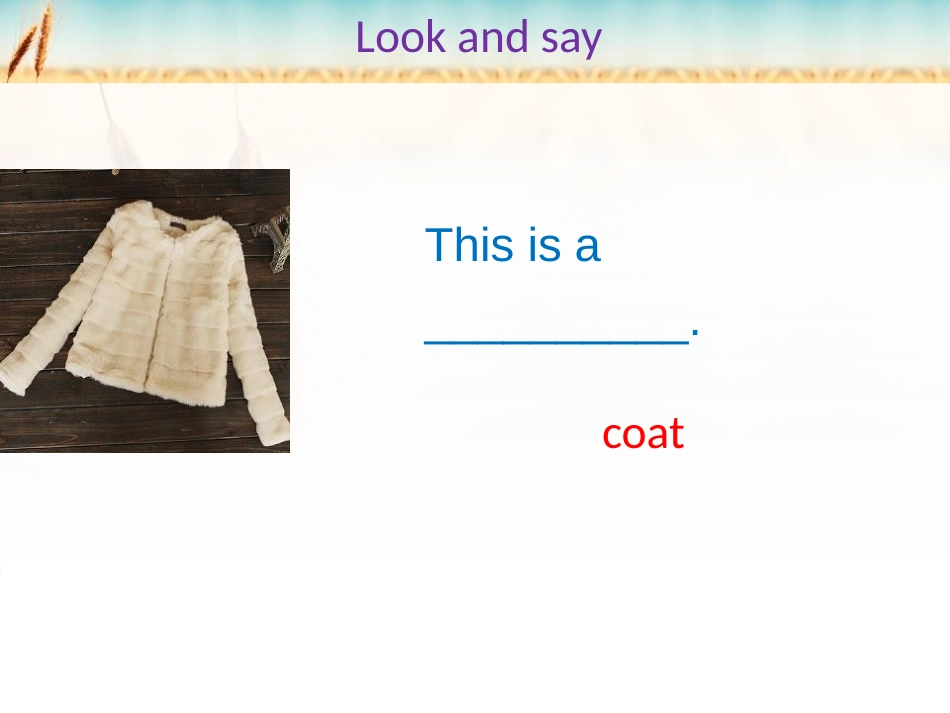 《Is this your skirt》PPT精品课件_第3页