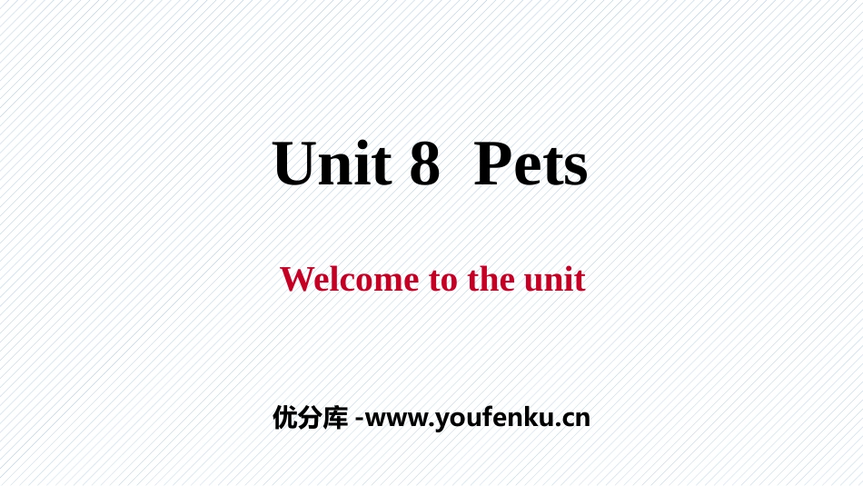 《Pets》PPT习题课件[牛津译林版英语七年级下册]_第1页