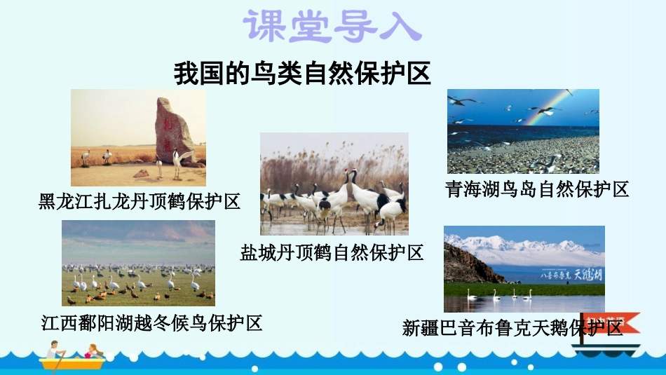 《Birdwatching》PPT课件(第5课时)_第2页
