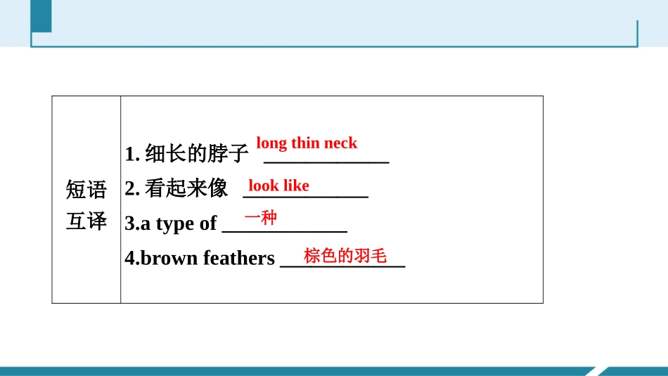 《Birdwatching》PPT习题课件[牛津译林版英语八年级]_第3页