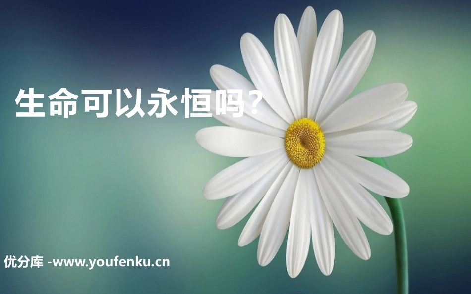 《生命可以永恒吗》PPT精品课件[七年级道德与法治上册]_第1页