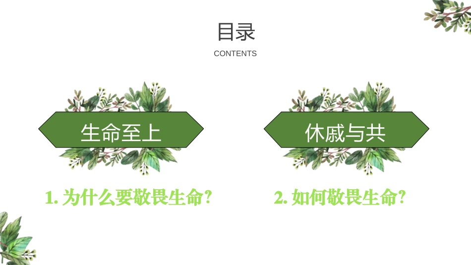 《敬畏生命》PPT精品课件[七年级道德与法治上册]_第3页